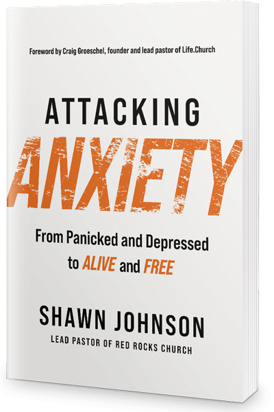 Attacking Anxiety by Shawn Johnson